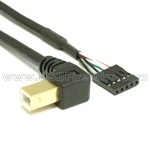 USB 2.0 Cable Right  B to Motherboard