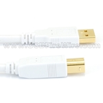 USB 2 A to B (White Cable)