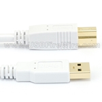 USB 3 A to B (White Cable)