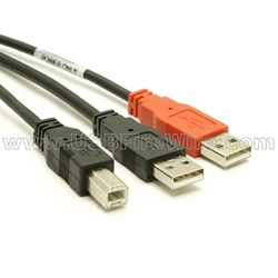 USB 2.0 Extra Power Cable - 6 Feet